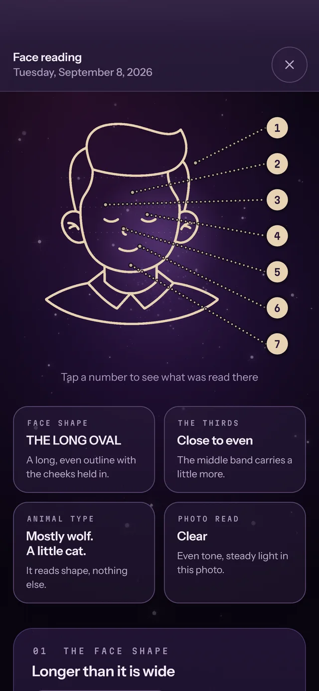Face reading: seven numbered points on a line drawing of a face
